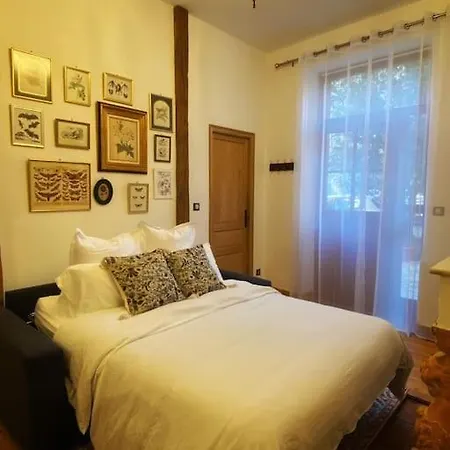Cocon Cosy Dans La Rose Тулуза