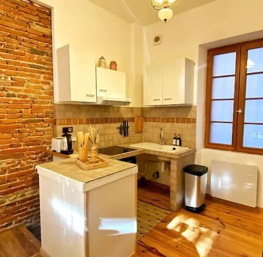 Cocon Cosy Dans La Rose شقة تولوز