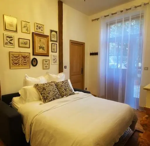 Cocon Cosy Dans La Rose Toulouse