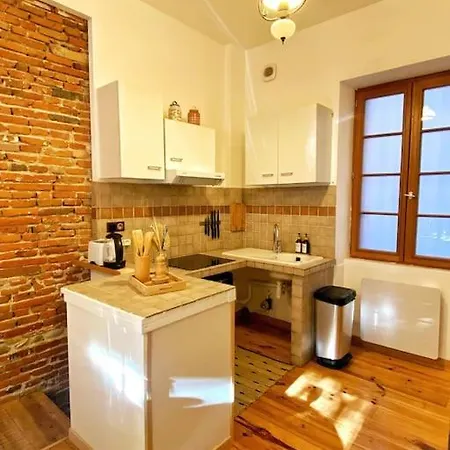 Cocon Cosy Dans La Rose Apartmán Toulouse